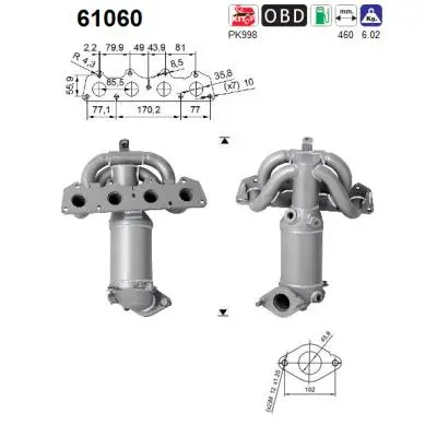 Catalytic Converter (61060)