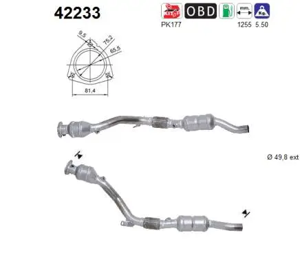 Catalytic Converter (42233)