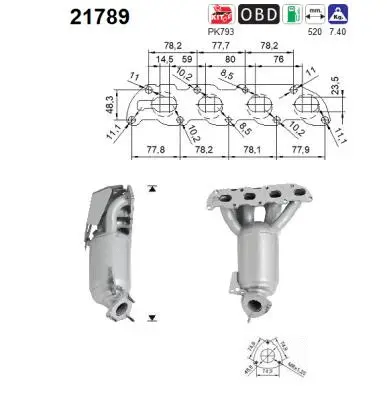 Catalytic Converter (21789)