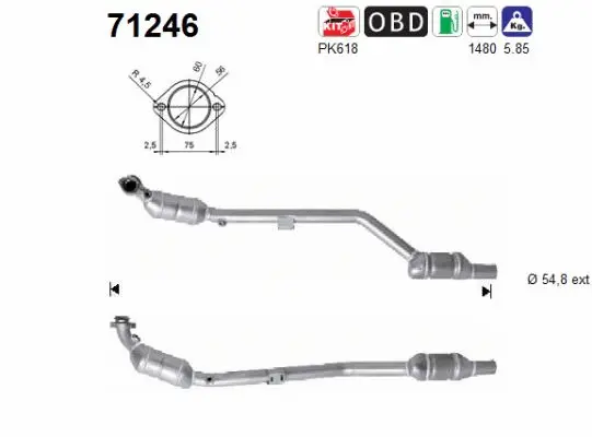 Catalytic Converter (71246)