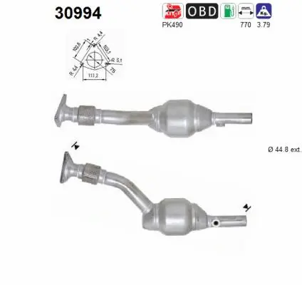 Catalytic Converter (30994)