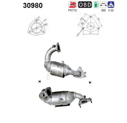 Catalytic Converter (30980)