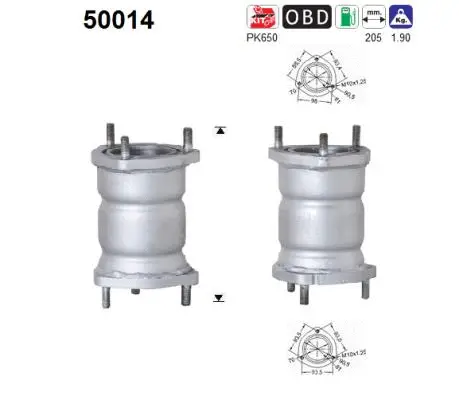 Catalytic Converter (50014)