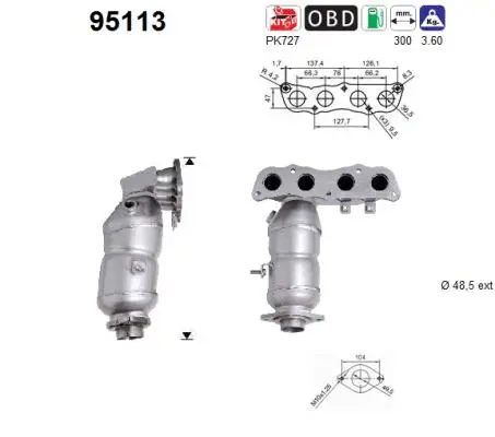 Catalytic Converter (95113)