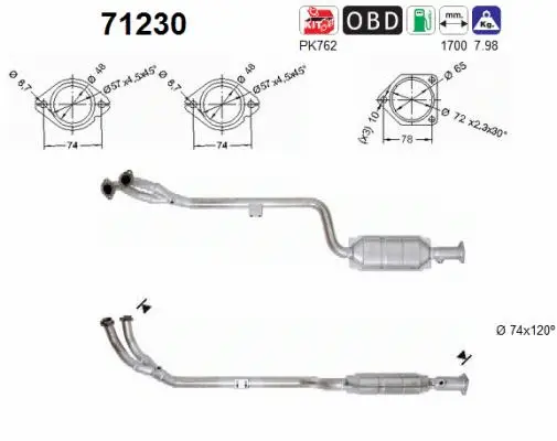 Catalytic Converter (71230)