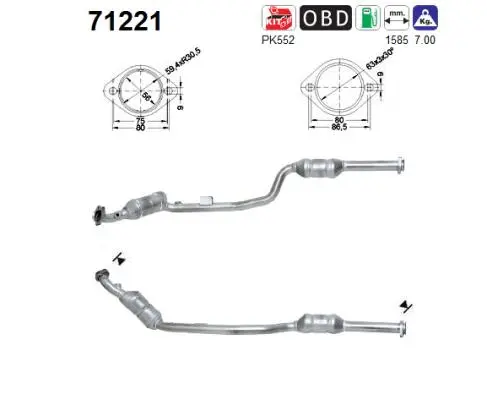 Catalytic Converter (71221)
