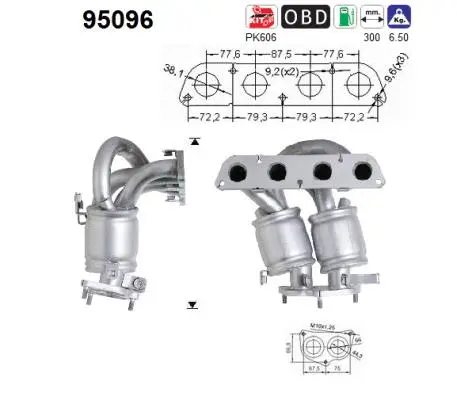 Catalytic Converter (95096)