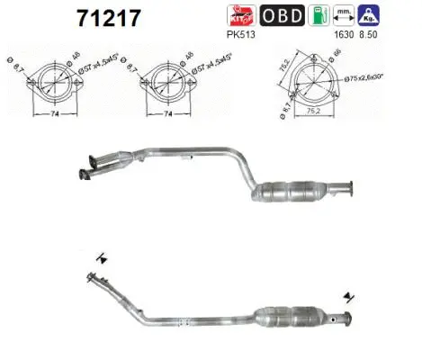Catalytic Converter (71217)