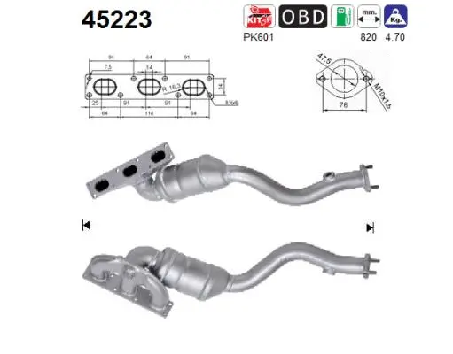Catalytic Converter (45223)