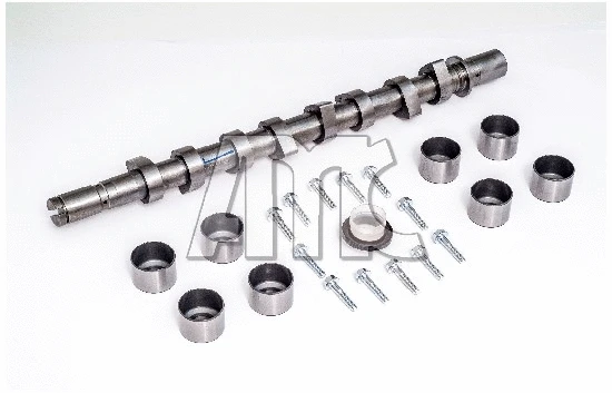 Camshaft Kit (666891K)