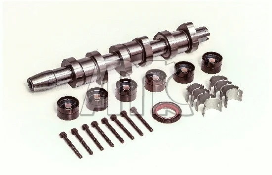 Camshaft Kit (666867K)