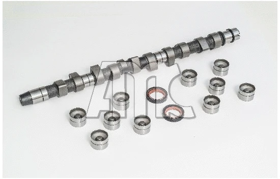 Camshaft Kit (653851K)