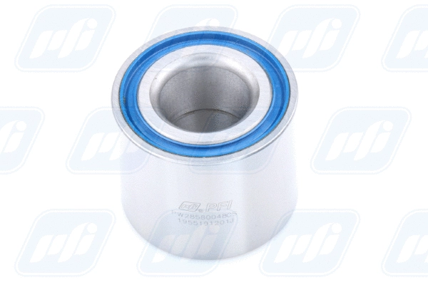 Wheel Bearing (PW28580048CS)