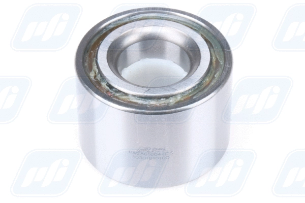 Wheel Bearing (PW28610042CS)