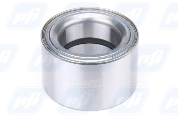 Wheel Bearing (PW55900055CSHD)