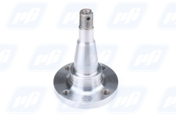 Wheel Hub (PHU94721567)