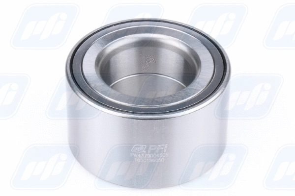 Wheel Bearing (PW43790045CS)