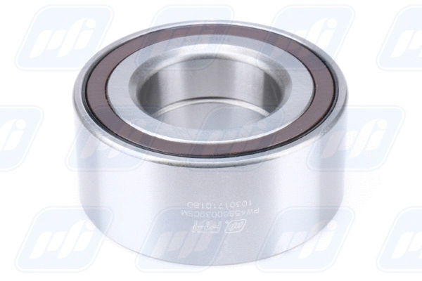 Wheel Bearing (PW45880039CSM)