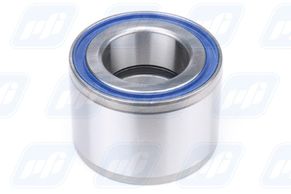Wheel Bearing (PW601080075CSHD)