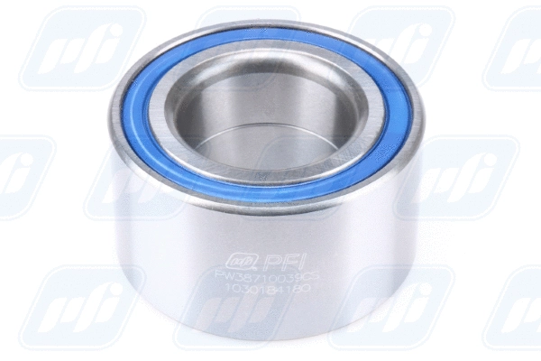 Wheel Bearing (PW38710039CS)