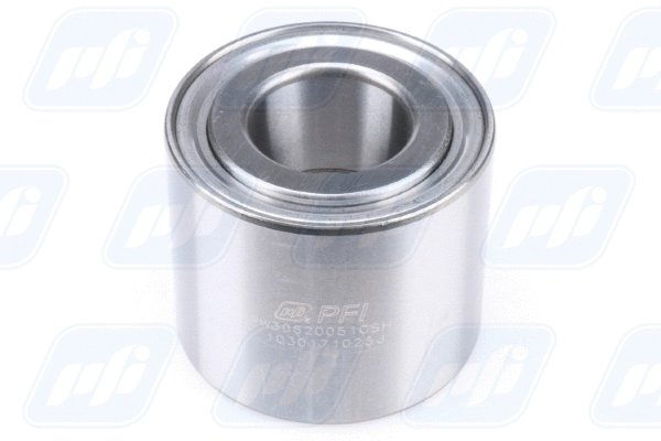Wheel Bearing (PW30620051CSHD)