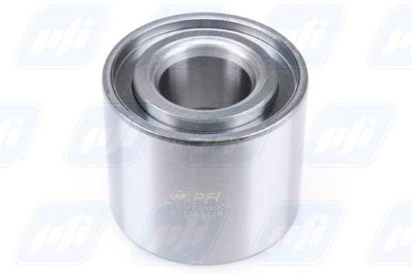 Wheel Bearing (PW27600050CS)