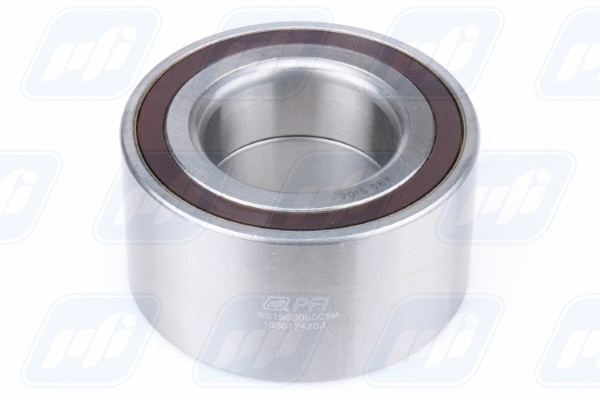 Wheel Bearing (PW51960050CSM)
