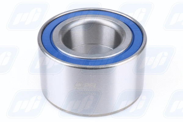 Wheel Bearing (PW42800045CS)