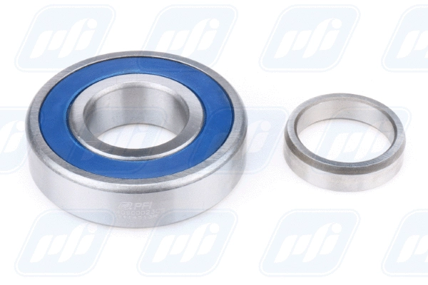 Wheel Bearing (PW40900023CS)