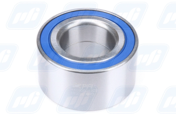 Wheel Bearing (PW42800042CS)