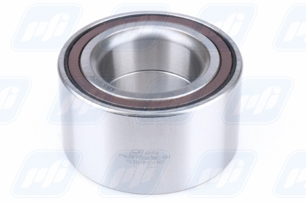 Wheel Bearing (PW38700038CSM)