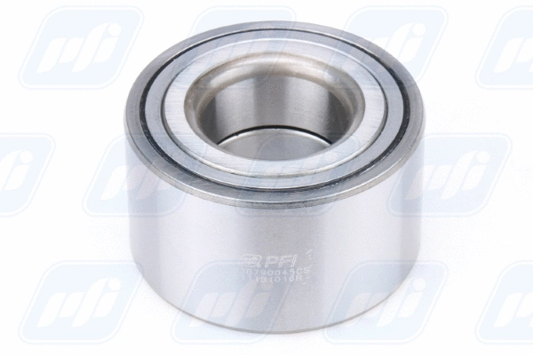 Wheel Bearing (PW38790045CS)