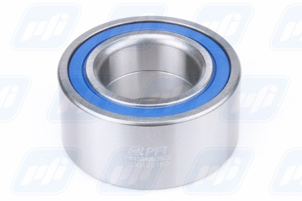 Wheel Bearing (PW45840039CS)
