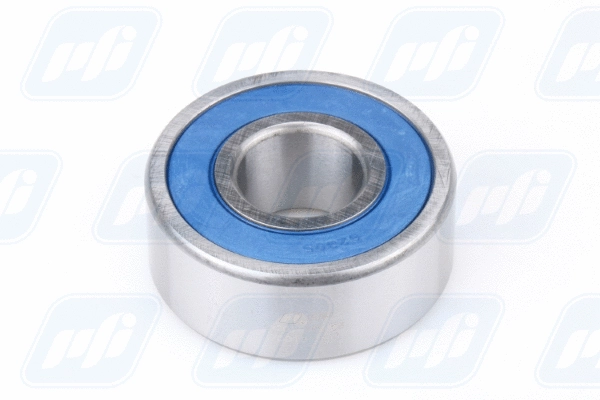 Bearing (62305-2RS C3)
