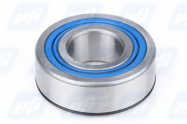 Wheel Bearing (PW409000315CS)
