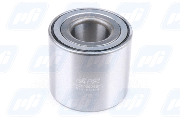 Wheel Bearing (PW25550048CS)