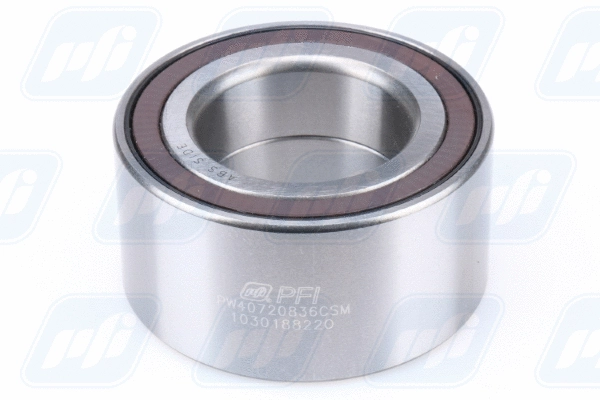 Wheel Bearing (PW40720836CSM)