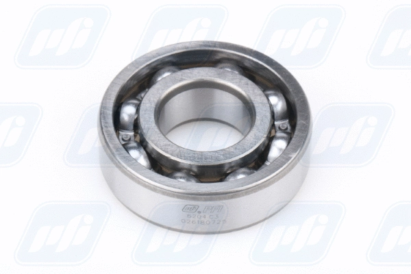 Bearing (6204 C3)