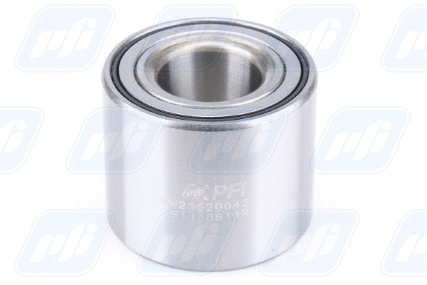 Wheel Bearing (PW25520042CS)
