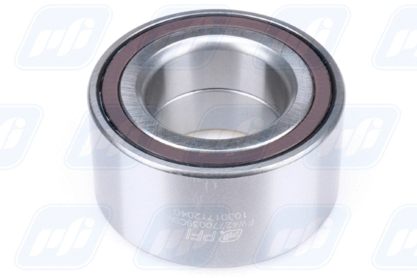 Wheel Bearing (PW42770039CSM)