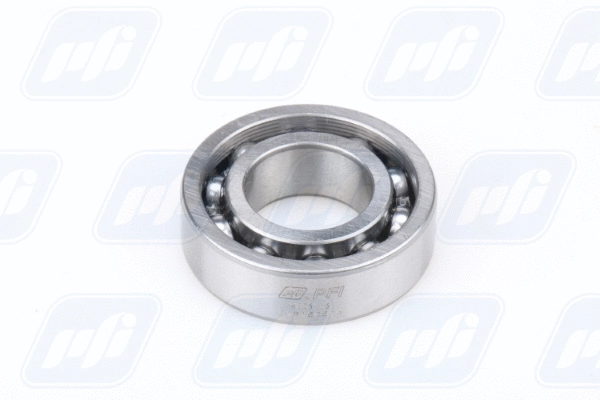 Bearing (6003 C3)