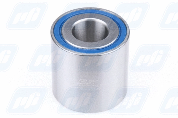 Wheel Bearing (PW255500535CSHD)