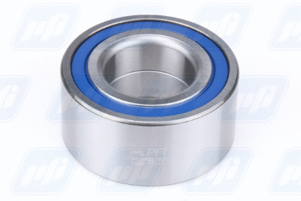 Wheel Bearing (PW42840339CS)