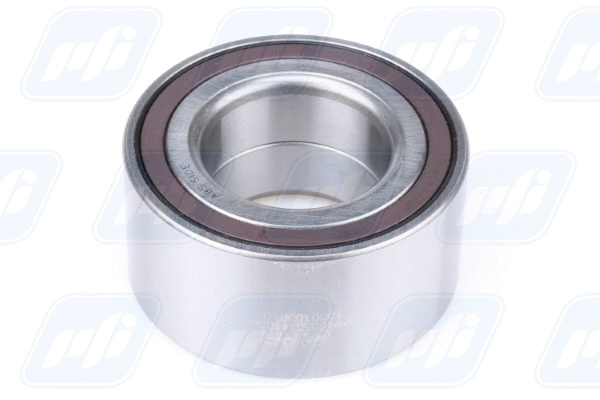 Wheel Bearing (PW45850441CSM)