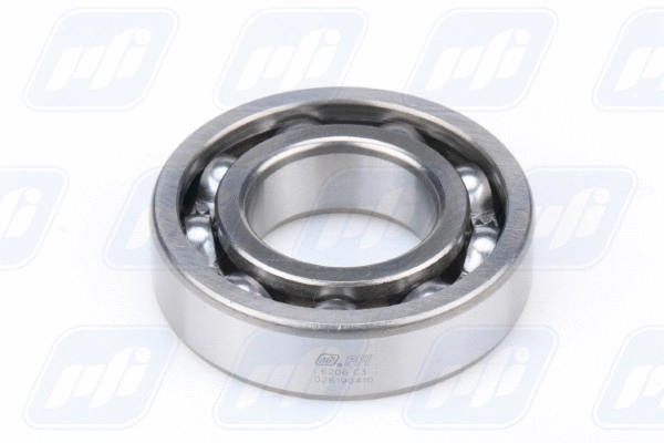 Bearing (6206 C3)