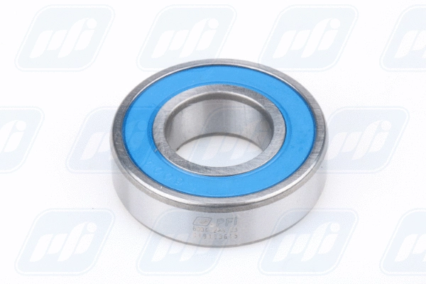 Bearing (6004-2RS C3)