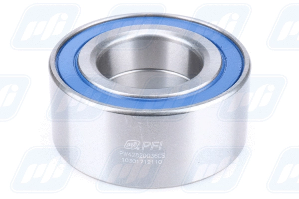 Wheel Bearing (PW42820036CS)