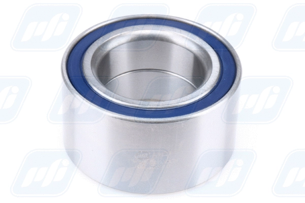 Wheel Bearing (PW42720038CS)