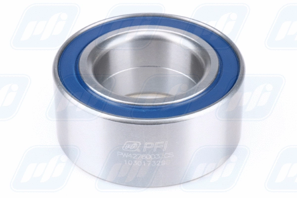 Wheel Bearing (PW42760033CS)