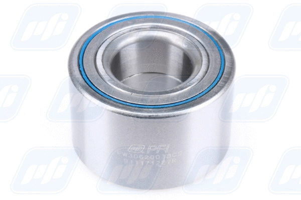Wheel Bearing (PW30620038CS)